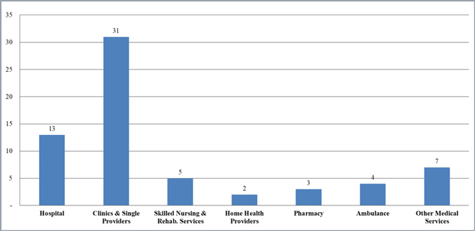 Home Health Chart Audit Template