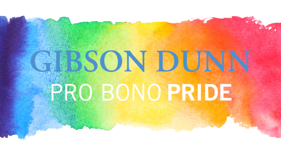 GDC Pro Bono Pride