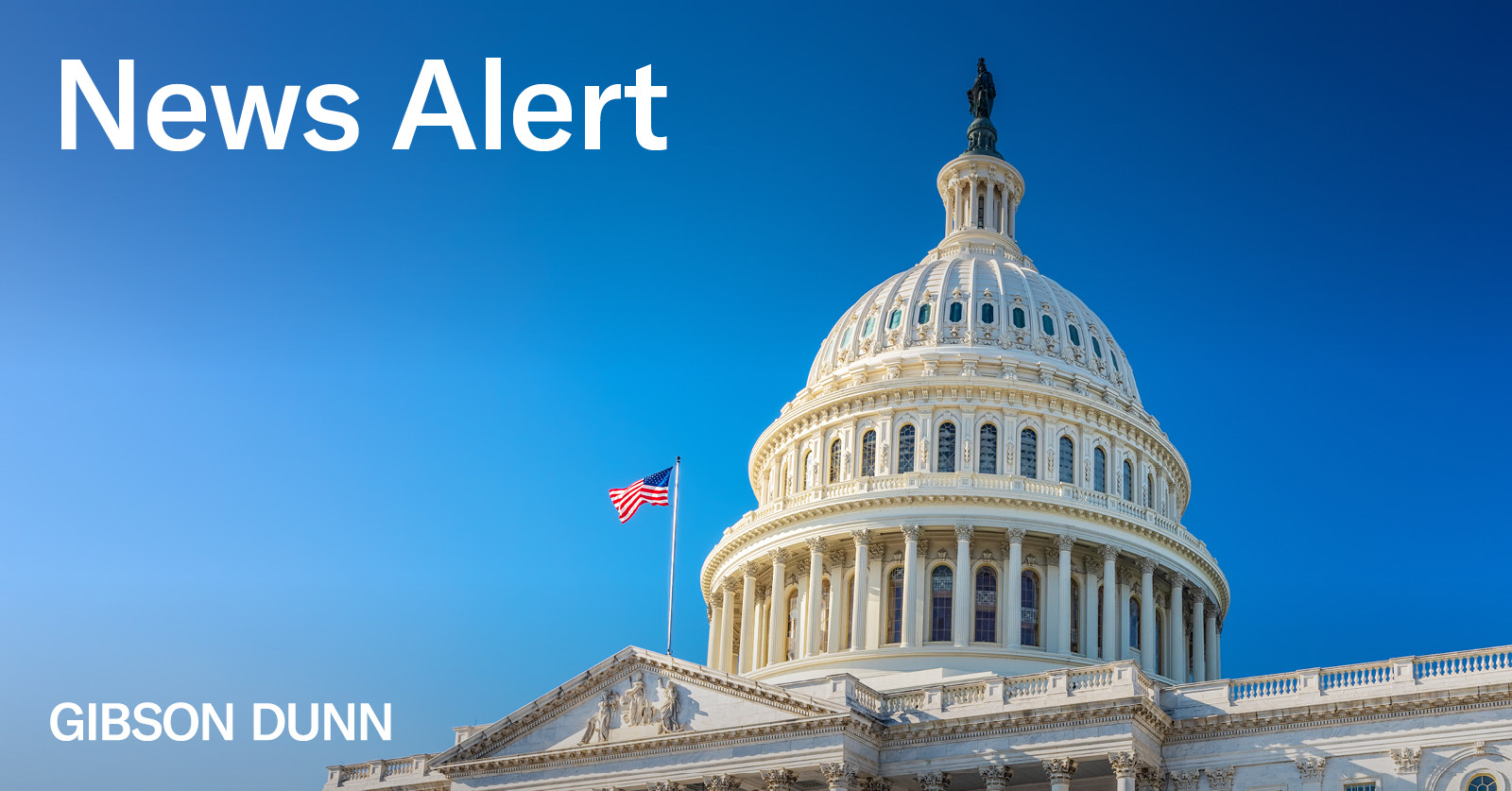 The Power to Investigate Table of Authorities of House & Senate 118th